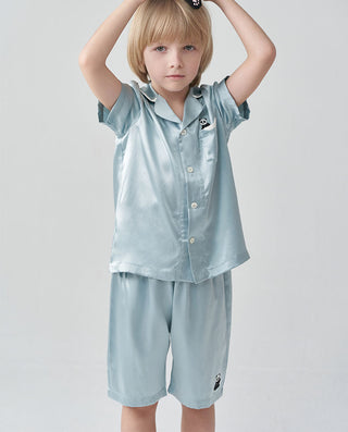 Aimer Kids Boys Silk Short-Sleeve Top