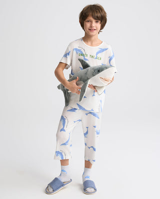 Aimer Kids Short-sleeve Tops Homewear Set For Boys Value Set